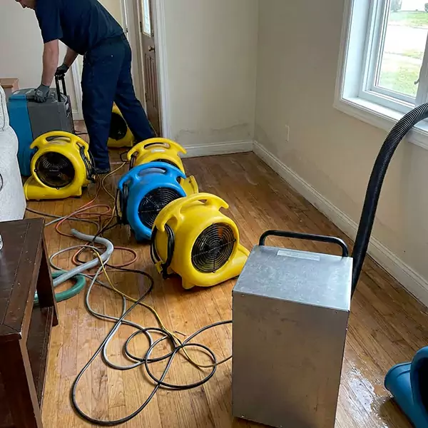 Water Mitigation Services in Pembroke Pines, FL