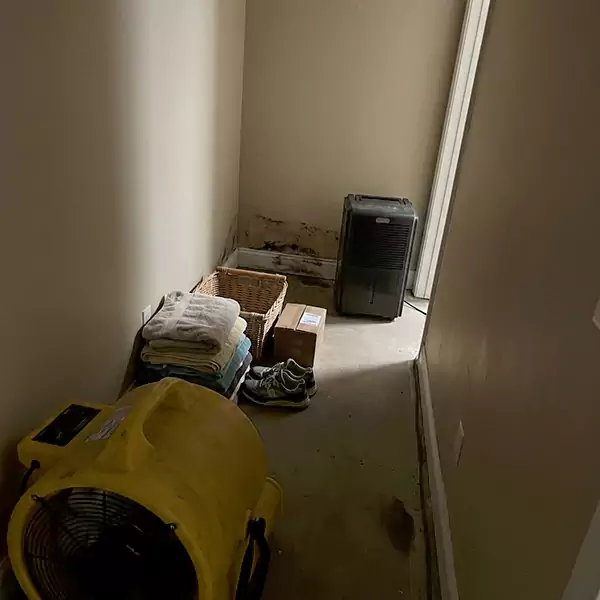 Expert Water Remediation in Pembroke Pines, FL 