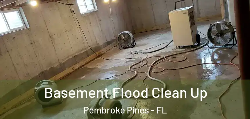  Basement Flood Clean Up Pembroke Pines - FL
