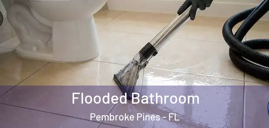  Flooded Bathroom Pembroke Pines - FL
