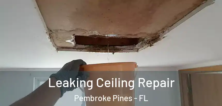  Leaking Ceiling Repair Pembroke Pines - FL