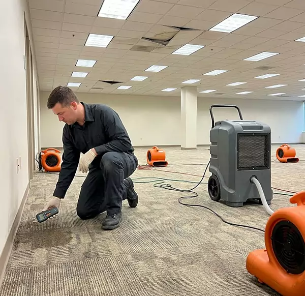 Why Businesses Choose Pembroke Pines Water Damage Pro for Commercial Water Damage in Pembroke Pines, FL?