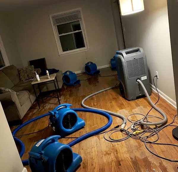 Why Homeowners & Businesses Choose Pembroke Pines Water Damage Pro for Emergency Water Restoration in Pembroke Pines, FL?