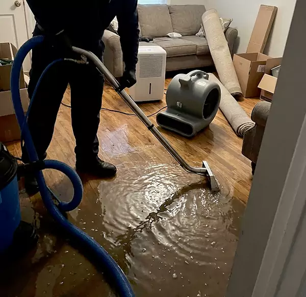 Why Homeowners & Businesses Choose Pembroke Pines Water Damage Pro for Flood Cleanup in Pembroke Pines, FL?