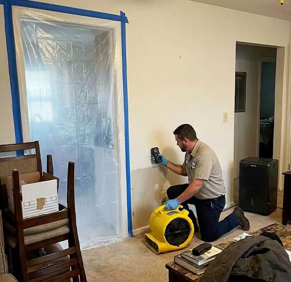 Why Homeowners & Businesses Choose Pembroke Pines Water Damage Pro for Water Remediation in Pembroke Pines, FL?