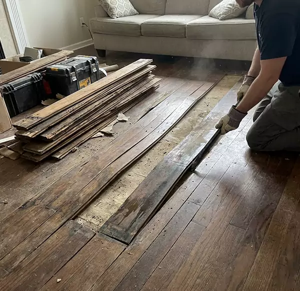 Why Choose Pembroke Pines Water Damage Pro for Wood Floor Water Damage Repair in Pembroke Pines, FL?