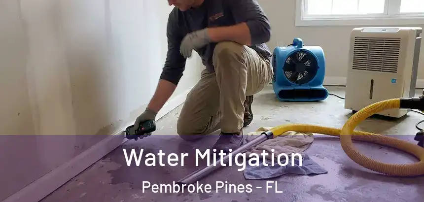  Water Mitigation Pembroke Pines - FL