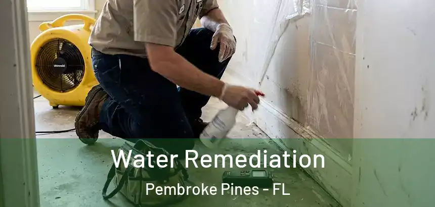 Water Remediation Pembroke Pines - FL